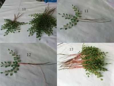 Учимся делать бисероплетение своими руками поэтапно: легкий мастер-класс для начинающих