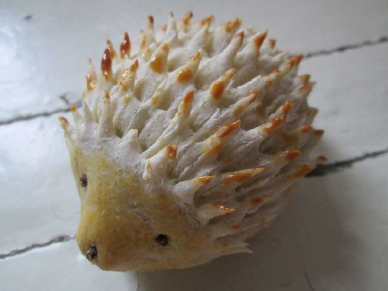 Поделки из соленого теста в домашних условиях (62 фото) - пошаговые мастер-классы для начинающих