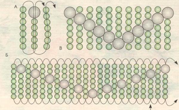 Учимся делать бисероплетение своими руками поэтапно: легкий мастер-класс для начинающих