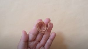 Выкройки мягких игрушек: бесплатные для скачивания и пошива своими руками