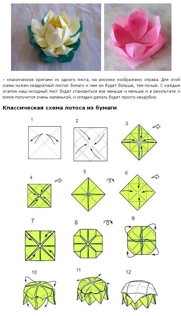 Цветок лотоса из бумаги
