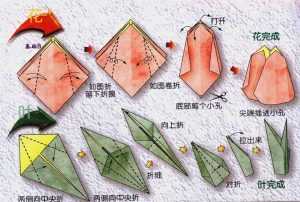Оригами цветок из бумаги схема: от кактуса до розы