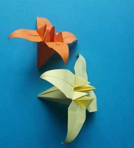 Оригами цветок из бумаги схема: от кактуса до розы