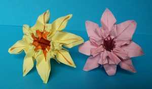 Оригами цветок из бумаги схема: от кактуса до розы