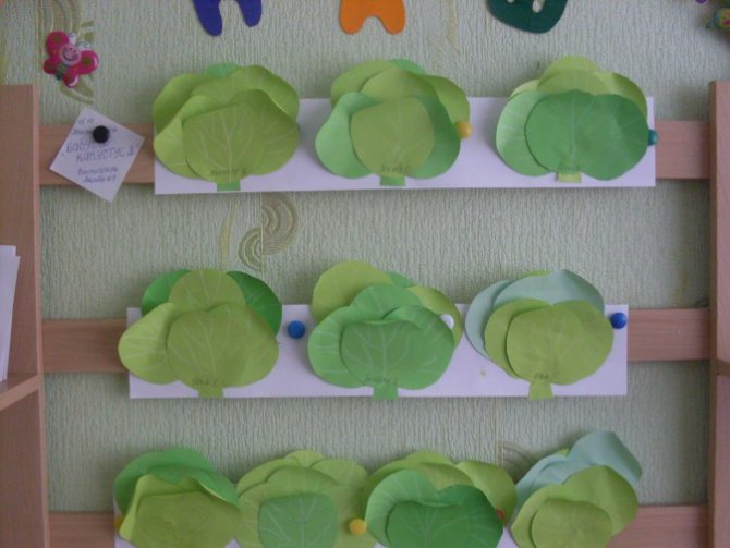 Аппликация фрукты (81 фото): шаблоны фруктов для создания детской поделки