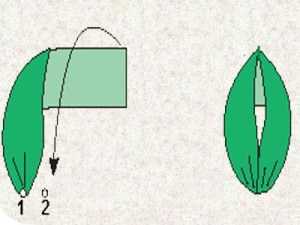 Схема вышивки лепестков для розы из лент