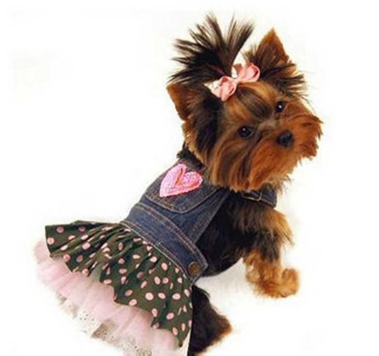 Магазины для домашних животных