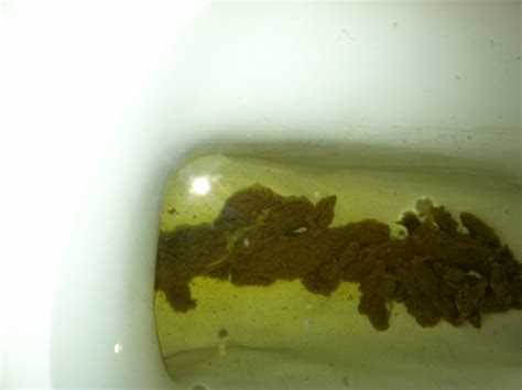 Общие сведения о диагностике