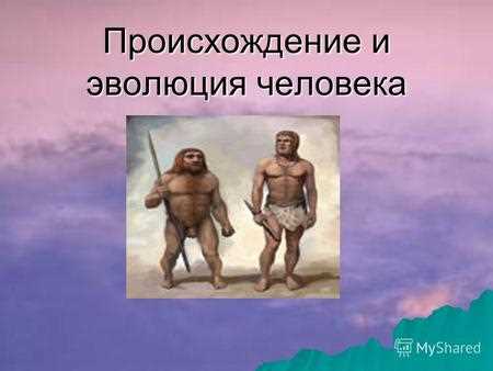 Какие свойства делают мутонов удобным объектом исследования?