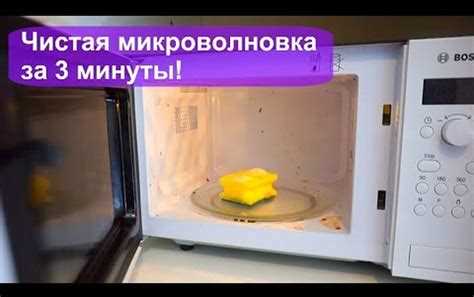 Как быстро и без проблем помыть внутреннюю часть микроволновки: проверенные способы Как быстро и без проблем помыть внутреннюю часть микроволновки: проверенные способы