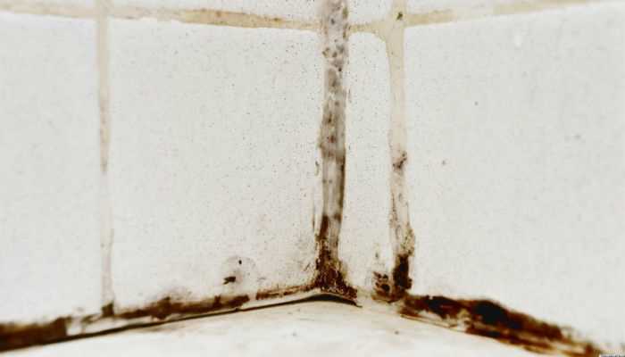 Симптомы плохого микроклимата в помещении