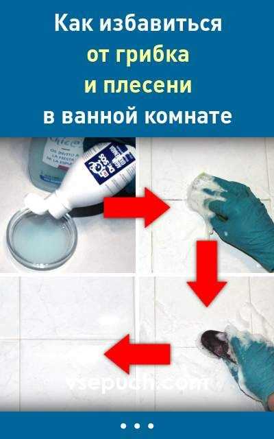 Как плесень влияет на здоровье человека?