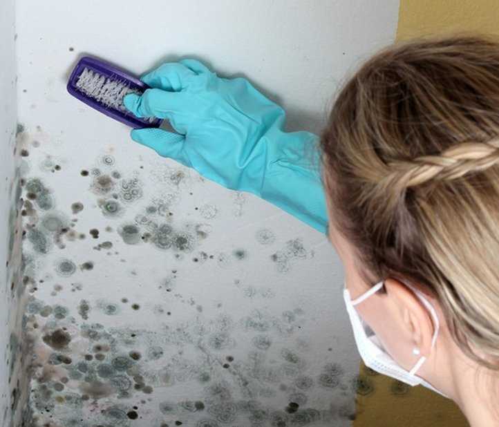 Как быстро и эффективно избавиться от плесени на стенах в доме: 10 действенных способов Как быстро и эффективно избавиться от плесени на стенах в доме: 10 действенных способов
