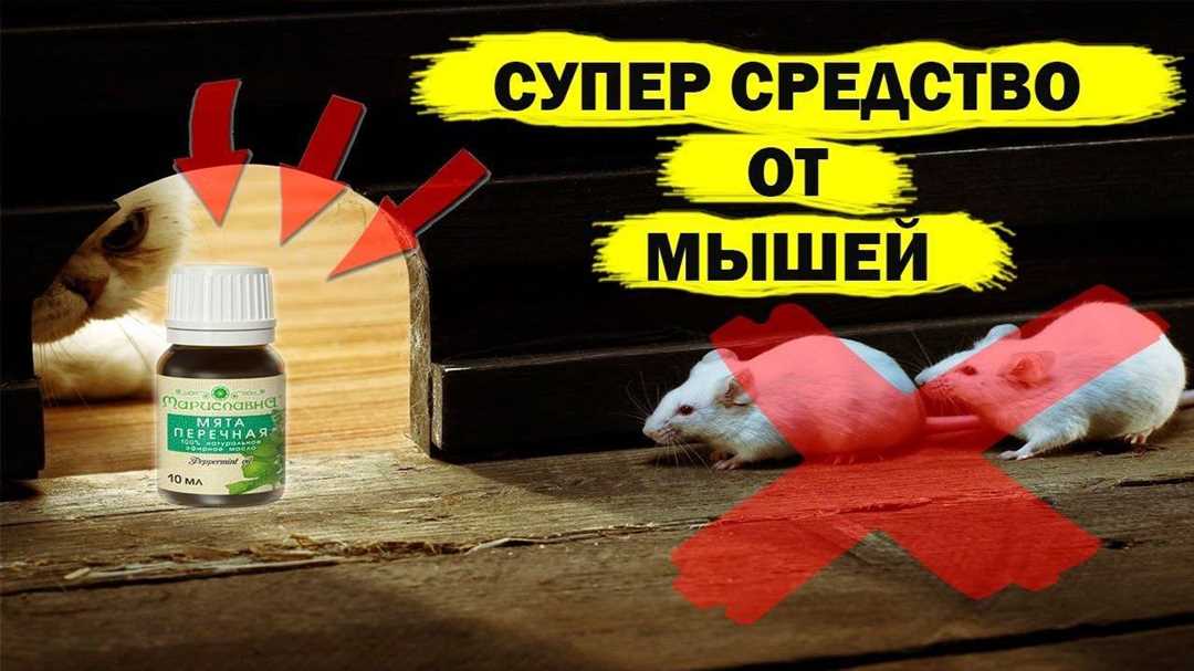 Методы борьбы с мышами