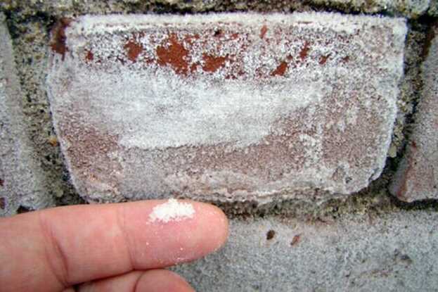 Как избавиться от плесени на стене в квартире: эффективные методы борьбы