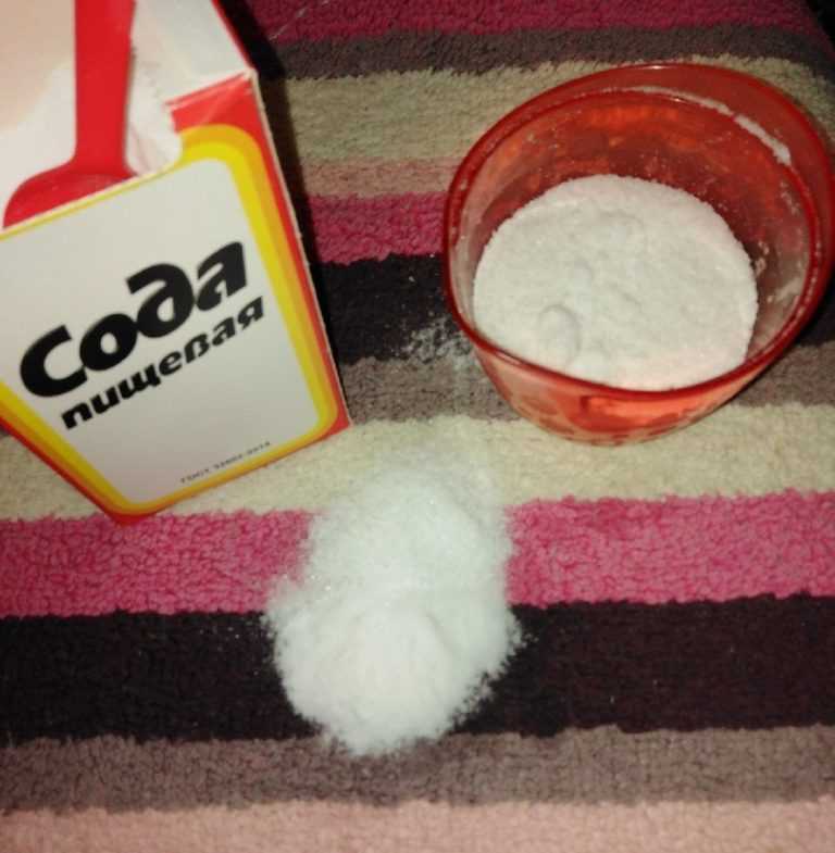 Как позаботиться о том, чтобы кошка больше не мочилась не в том месте?