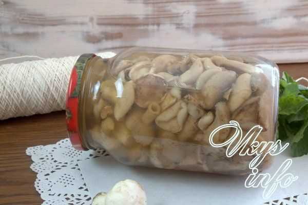 Выбираем свежие грибы