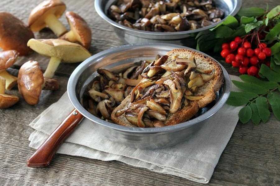 Как правильно готовить маслята: рецепты и советы Как правильно готовить маслята: рецепты и советы