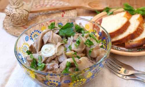 Как правильно приготовить вкусные вешенки: советы и рецепты Как правильно приготовить вкусные вешенки: советы и рецепты