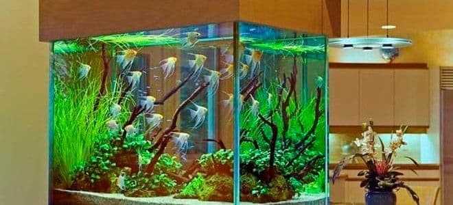 Подготовка стекол