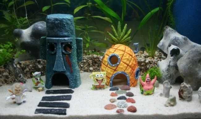 Как сделать аквариум своими руками: пошаговая инструкция Как сделать аквариум своими руками: пошаговая инструкция