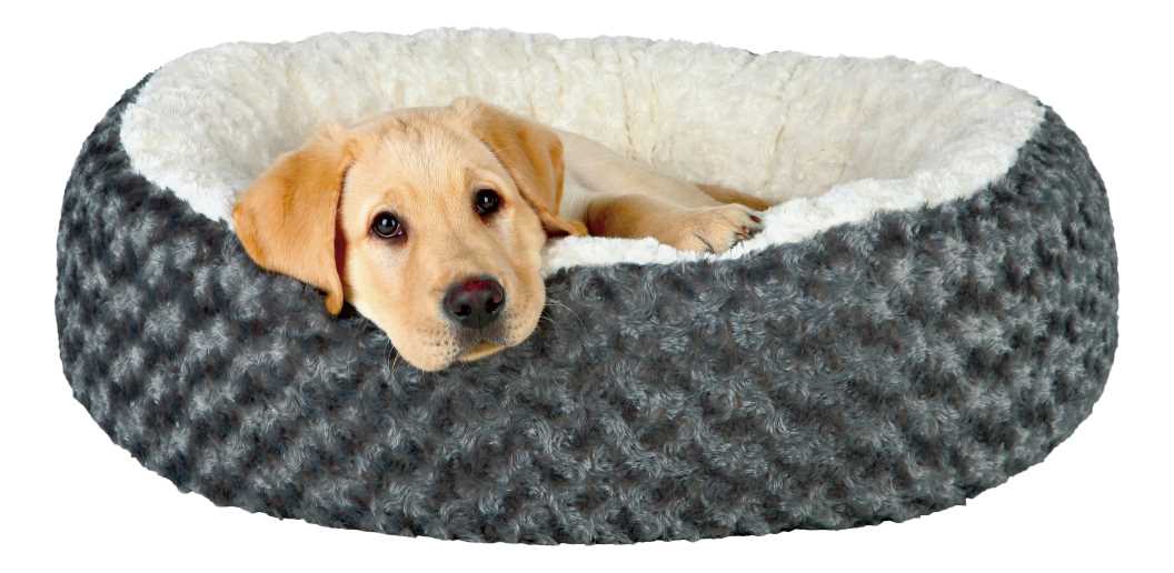 Как сделать лежанку для собаки своими руками: инструкция с фото Как сделать лежанку для собаки своими руками: инструкция с фото