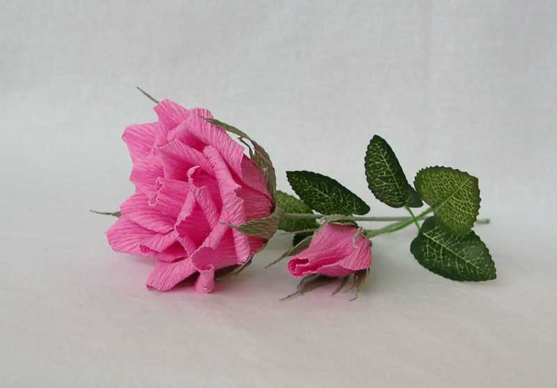 Сделайте основу