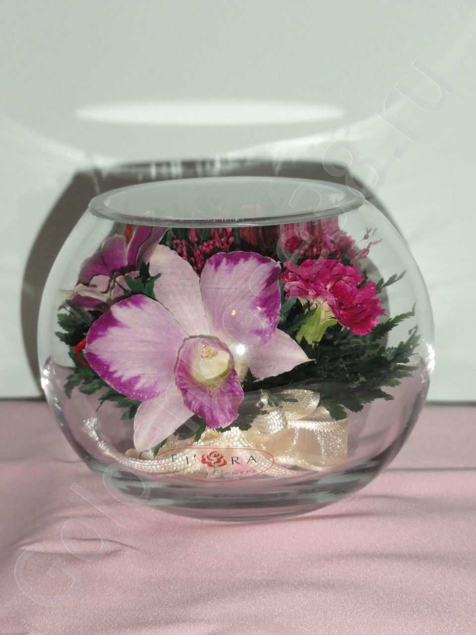 Как сохранить красоту цветов надолго: цветы в вакууме Как сохранить красоту цветов надолго: цветы в вакууме