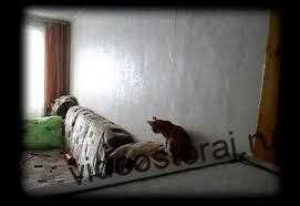 Как установить скрытую камеру дома: практические советы Как установить скрытую камеру дома: практические советы