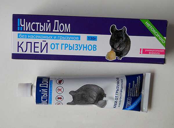 Как выбрать эффективный клей для мышей: сравнение средств и советы по применению Как выбрать эффективный клей для мышей: сравнение средств и советы по применению