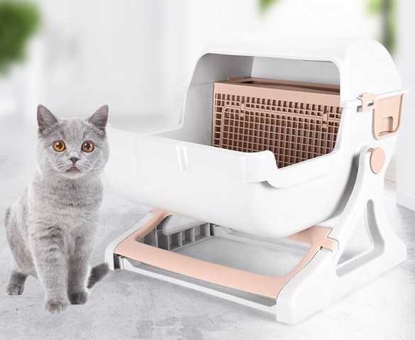 Как выбрать лоток для больших и толстых кошек