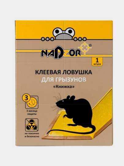 Как выбрать лучший клей от мышей: советы от эксперта Как выбрать лучший клей от мышей: советы от эксперта