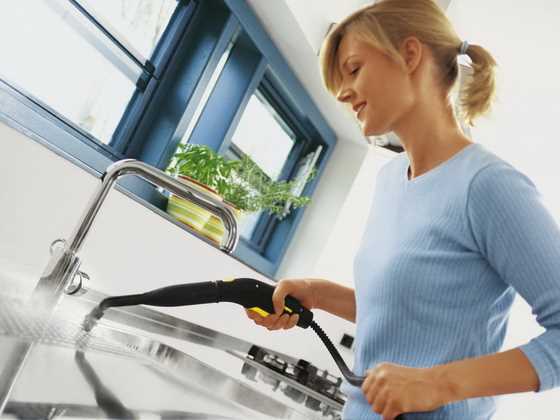 Как выбрать пароочиститель для дома: советы и рекомендации Как выбрать пароочиститель для дома: советы и рекомендации