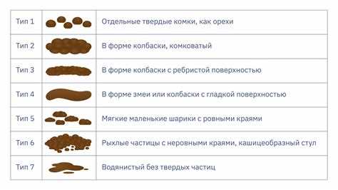 Правильное питание