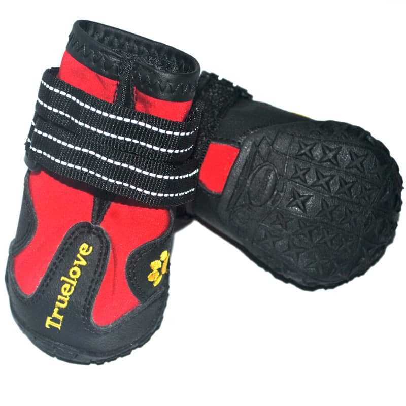 Купить ботинки для собак в интернет-магазине - защита лапок от мороза и грязи