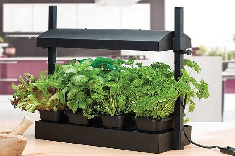 Световые параметры лампы