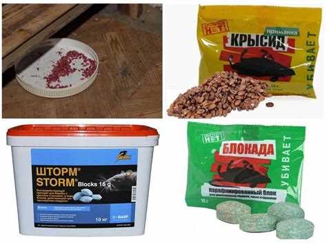 Основные принципы использования отравы для крыс