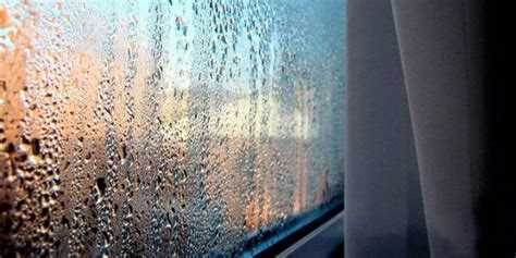 Замена оконной сетки