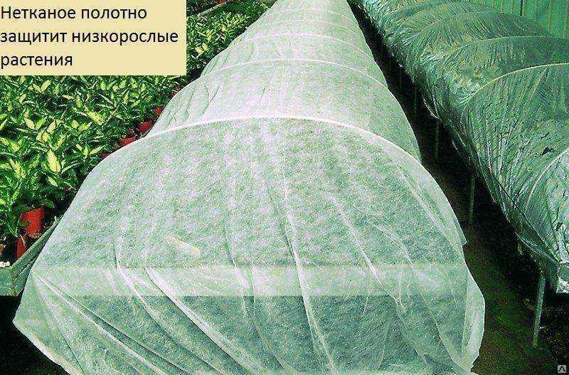 Неправильное хранение продуктов