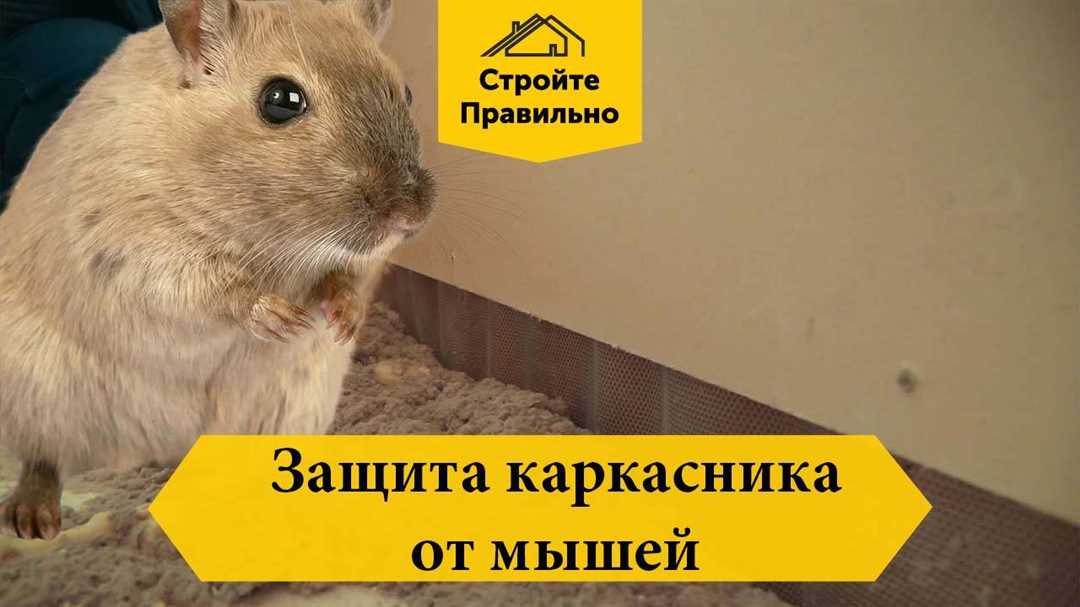 Подраздел 1: Способы убирания мусора