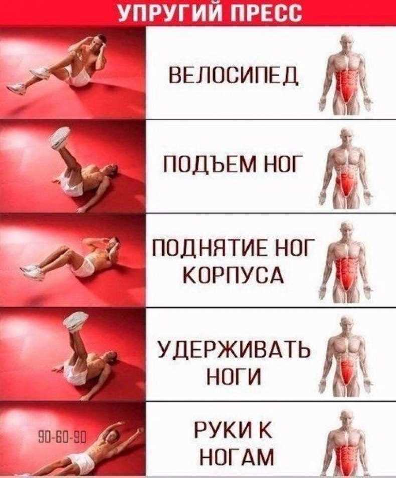 Топ-10 эффективных упражнений на нижний пресс: подтянутый живот легко и быстро Топ-10 эффективных упражнений на нижний пресс: подтянутый живот легко и быстро