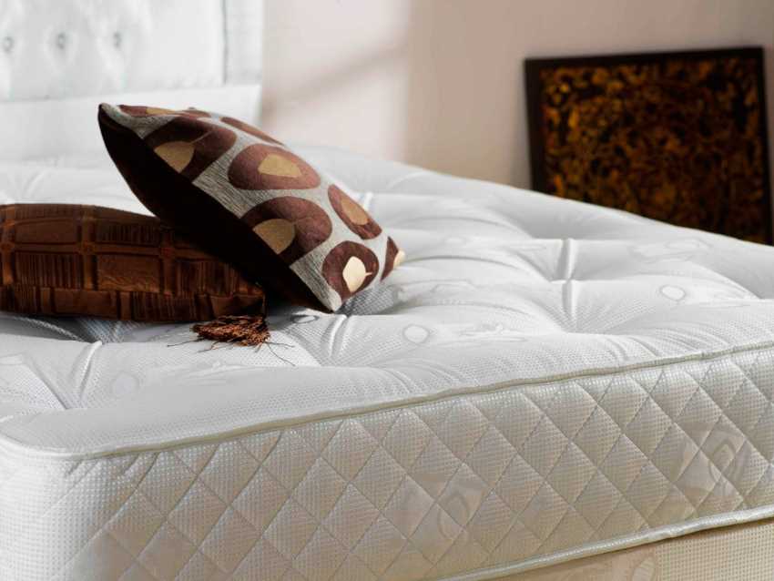 Преимущества беспружинных матрасов