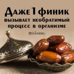 Чем полезны финики? Чем полезны финики?