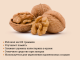 Польза и вред грецких орехов