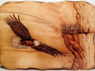 Выжигание по дереву для начинающих, материалы и инструменты, мастер-класс, фото, видео