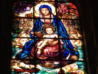 Мастер-класс: как сделать красивые цветы из бумаги своими руками