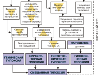 Сухая кожа лица: причины, симптомы и эффективное лечение современными методами - полное руководство